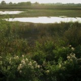 0309F 68 Marschlandschaft